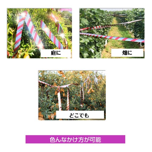 悯 e[v 50m 1 F ԐF Vo[ Px z   {  XY JX Ƃ悯 ObY ACe h΍ x_   c __6