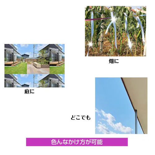 悯 zO e[v 50m 2 Vo[ Px z   {  XY JX Ƃ悯 ObY ACe h΍ x_   c _ysz_6