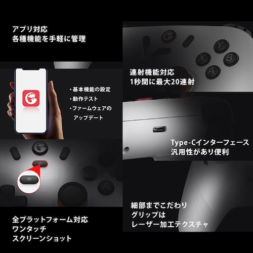 GameSir T4N Lite Q[~ORg[[ Q[pbh  CX Bluetooth 2.4GHz Lڑ Windows PC Android iOS SwitchΉ _15