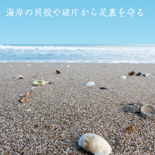 }V[Y fB[X Y LbY p Vm[POV[Y ANAV[Y EH[^[V[Y C j C K V C菝_1
