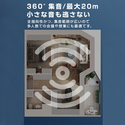 CX}CN s}CN 3.5mm lightning Type C S3 ݒsv X}z[d\ Nbv 360W mCYy zM Vlog PC iPhone Androi_8