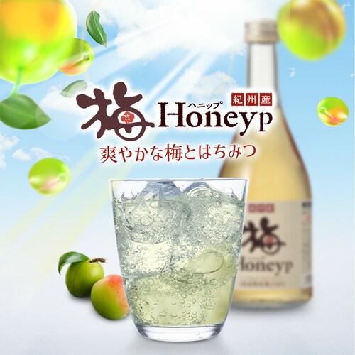 Rvi IBY~njbv 590g 6{Zbg_2