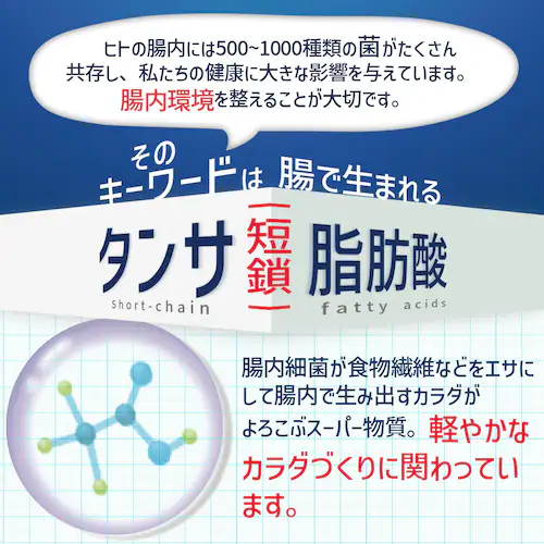Rvi 藏_ 90 3Zbg90_3