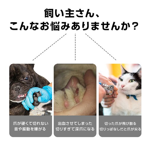 ybg d ܐ؂  L  USB[d ܍ ܂₷ ܃g}[ y wbh􂦂 ₷ R[hX U ᑛ ܂Ƃ PA S g}[_3