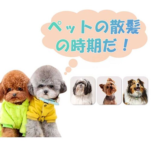 ybg oJ d g~O Jbg  L R[hX USB[d É  ȒP   SgJbg  􂦂 Ȃ SS ƒp_4