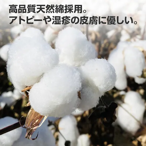 T  TVc  100 ̈ ̑ q LbY l Y fB[X ʋC ^ Cxg jtH[ NXTVc OX[u jp_8