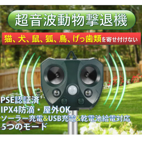 L悯 2Zbg g   A΍ Qb  ԏ \[[USB[d\ Q L  lY~ Lcl  L CmVV悯 _16