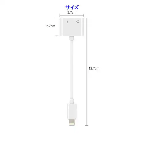 iPhone イヤホン 充電 コネクタ 変換ケーブル lightning 充電 音楽通話同時 充電器イヤホン変換アダプタ iPhone11 pro Xs/Xs max/Xr/8/8plus/7/7pl_8