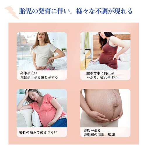 }^jeBxg ubN XL | xgt Dw 傫  w T|[g ی ]|h~  Ճxg EȒP YO DP\h K S e Ԃ_7