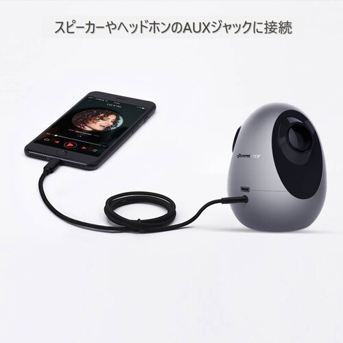 iPhone S[h  CgjO3.5mmAUXϊP[u lightningԍڗpI[fBIP[u CzϊA_v^[ yĐiPhone11 pro Xs max/Xr/8plus_2