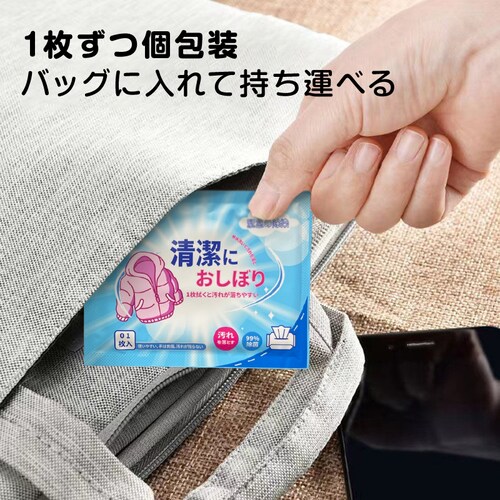 衣類用 汚れ落とし ウェットシート 30枚入 個包装 携帯用 使い捨て シミ抜き 水性/油汚れ 繊維を傷めない 水不要 外出 応急処置 旅行 コンパクト 持ち運び 便利_4