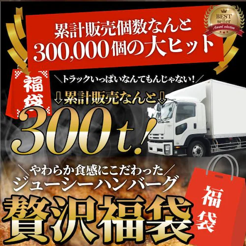 ハンバーグ 食べ比べ 豪華 福袋 メガ盛り 2.2kg 2種セット (プレーン100g×12個、チーズイン100g×10個) 惣菜 お弁当 業務用 爆買_1