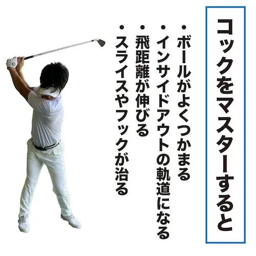 自宅練習 振るだけでコックが分かる 短尺しなりスイング練習器 コックマスター 独自重量バランスで自然体コックを実現 ボディパワードライブ 黒 30インチ_16