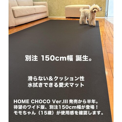 ̂߂̎p ~߃}bg HOME CHOCO III ʒChm150cm~10mnz[`RVer.III_4