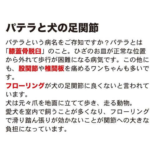 ̂߂̎p ~߃}bg HOME CHOCO III ʒChm150cm~10mnz[`RVer.III_7