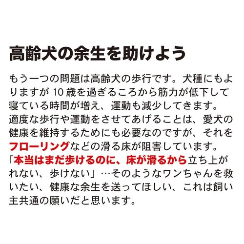 ̂߂̎p ~߃}bg HOME CHOCO III ʒChm150cm~10mnz[`RVer.III_8