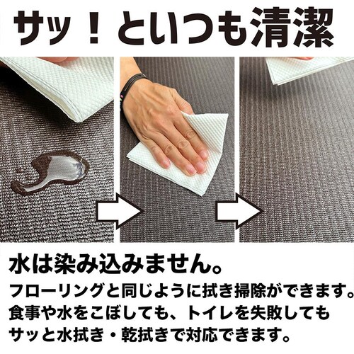 ̂߂̎p ~߃}bg HOME CHOCO III ʒChm150cm~10mnz[`RVer.III_15