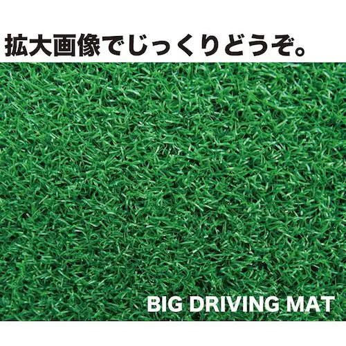 ł̕ɁI BIGhCrO}bg150cm~100cm Epf SeB[t_5