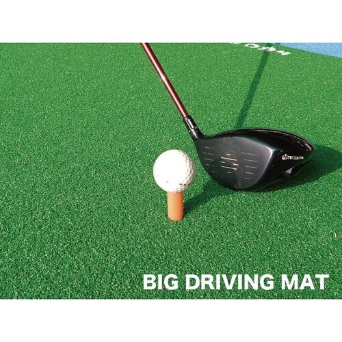 ł̕ɁI BIGhCrO}bg150cm~100cm Epf SeB[t_6