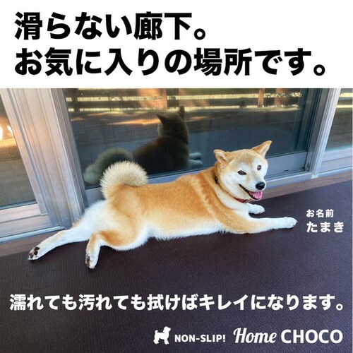 ̂߂̎p ~߃}bg HOME CHOCO IIIm70cm~10mnz[`RVer.III hbO}bg ybg}bg_3
