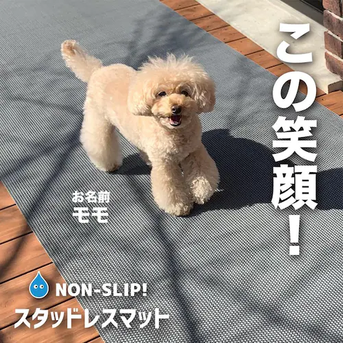 90cm×2m 2枚同梱セット 愛犬の足を守る 滑り止めマット スタッドレスマット・屋外&水回り・スリップ防止_2