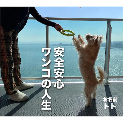 90cm×2m 2枚同梱セット 愛犬の足を守る 滑り止めマット スタッドレスマット・屋外&水回り・スリップ防止_7