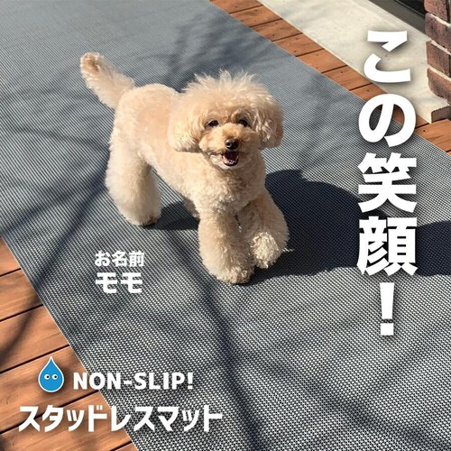 90cm×10m 特別サイズ 愛犬の足を守る・屋外&水回り・スリップ防止 滑り止めマット スタッドレスマット パテラ 関節 骨折 脱臼 防止 ペット_1