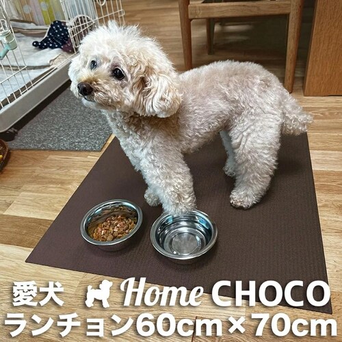 愛犬のためのランチョンマット 滑らない HOME CHOCO ホームチョコVer.III 食事 【滑り止めマット 関節 保護 ペット 食事 フード マット 撥水 防水】_4