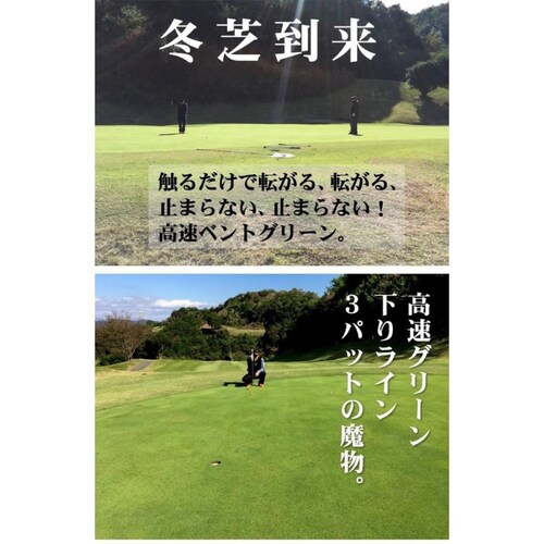 日本製 パターマット工房 90cm×10m EXPERTパターマット 距離感マスターカップ付き パット 練習 大型 パッティンググリーン ゴルフ練習_2