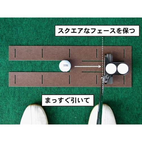 p^[}bgH[ pbgKVXed-90cm~3m { ܂ςƁ}X^[Jbvt pbg K_10