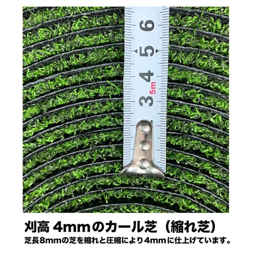 O 180cm~6m pbgplH ZPT ڂ⍂tڕW g[jOOt iStplH_9