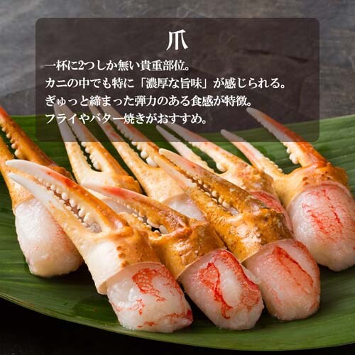 Jbgς 킢I 600gid750gj Jj Jj hg Ε ~Mtg  Jj I_6