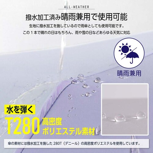 y`LŃJ^[z P SՌ ܂肽 y J Jp_9