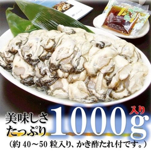 OY 嗱  ނg (1s 500g~2 / 嗱/Hp) {錧Y 2025NV  y Y (| t) tC   Mtg_4