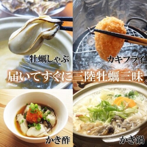 OY 嗱  ނg (1s 500g~2 / 嗱/Hp) {錧Y 2025NV  y Y (| t) tC   Mtg_5