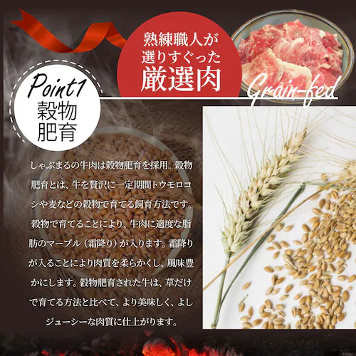  ύݗp  900g  Ⓚ     Y  XW 󂠂   vp Ɩp _10