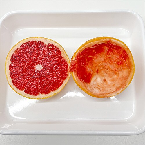 �q���[���� �V�g���X�W���[�T�[ CJ-B03AWH�i�z���C�g�j_8