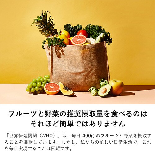 �q���[���� �R�[���h�v���X�W���[�T�[ H310A_13