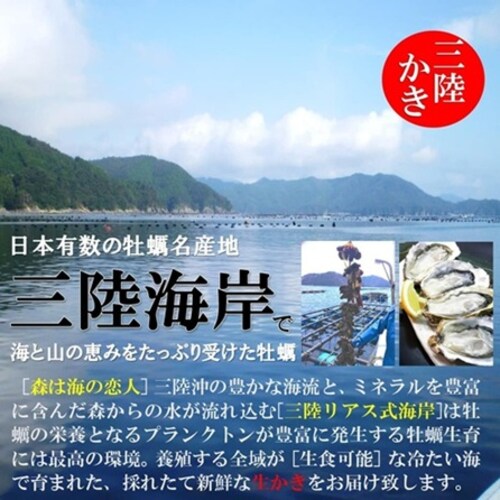 �O���Y �嗱 �k�t�������� ( 10�Z�b�g / ���y�ނ��i�C�t �{ ������ �{ �R�� �t�� / ���H�p )_2