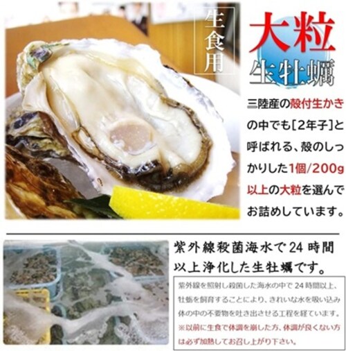 �O���Y �嗱 �k�t�������� ( 10�Z�b�g / ���y�ނ��i�C�t �{ ������ �{ �R�� �t�� / ���H�p )_3