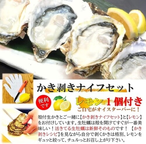 �O���Y �嗱 �k�t�������� ( 10�Z�b�g / ���y�ނ��i�C�t �{ ������ �{ �R�� �t�� / ���H�p )_4