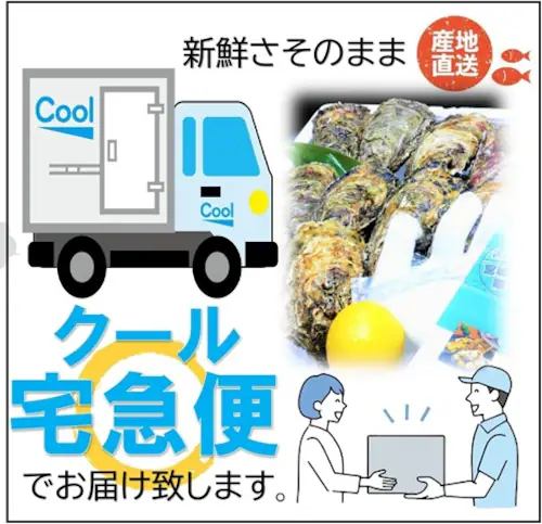 �O���Y �嗱 �k�t�������� ( 10�Z�b�g / ���y�ނ��i�C�t �{ ������ �{ �R�� �t�� / ���H�p )_8