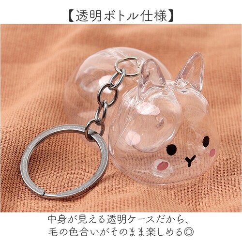 �������̖� �L�[�z���_�[ �ʔ� �y�b�g ��� �`���[�� �P�[�X ���� ��ѓ��� ���̖ю��[�{�g�� �������A���O�b�Y ������ �E�T�M �� �� �L �������A�� �������� �y�b�g���� �y�b�g���X �`�� �A�N_3