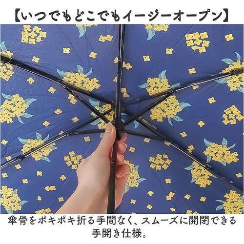 amusant sous la pluie �܂肽���� �ϕ� �ʔ� �܂肽���ݎP �܂��ݎP �ϕ��P �J�P �܂��� 55cm 55�Z���` ��J�� �蓮�J�� ���f�B�[�X�P ���� �P �J�T ���� ��l _3