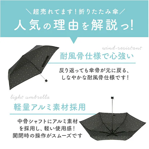 amusant sous la pluie �܂肽���� �ϕ� �ʔ� �܂肽���ݎP �܂��ݎP �ϕ��P �J�P �܂��� 55cm 55�Z���` ��J�� �蓮�J�� ���f�B�[�X�P ���� �P �J�T ���� ��l _13