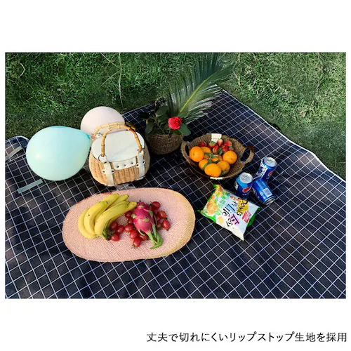 ���W���[�V�[�g ���� �ʔ� �s�N�j�b�N�V�[�g �s�N�j�b�N�}�b�g �V�[�g 2�l�p 3�l�p ������ ������ �R���p�N�g �܂肽���� �}�b�g ��l�p ������� ���W���[�}�b�g 140�~140 ���W���[ �L��_4