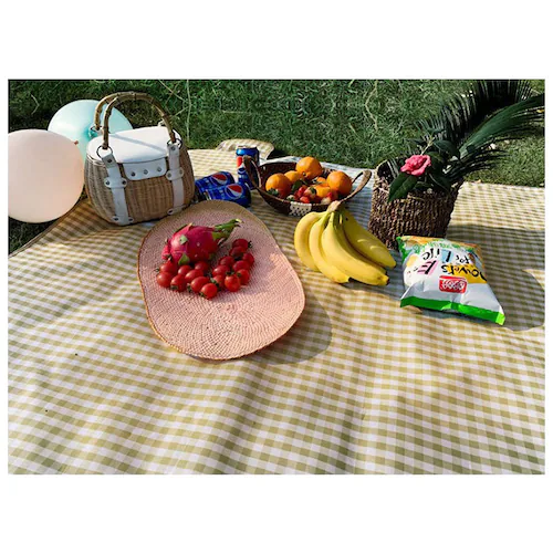 ���W���[�V�[�g ���� �ʔ� �s�N�j�b�N�V�[�g �s�N�j�b�N�}�b�g �V�[�g 2�l�p 3�l�p ������ ������ �R���p�N�g �܂肽���� �}�b�g ��l�p ������� ���W���[�}�b�g 140�~140 ���W���[ �L��_6