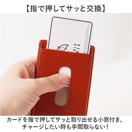 �A�[�m���h�p�[�}�[ �p�X�P�[�X ArnoldPalmer 4AP3283 �ʔ� ���[���t���p�X�P�[�X ������� ��������� ������P�[�X ����P�[�X ���ُ� ID�P�[�X ���f�B�[�X �����Y ���[���t��_4