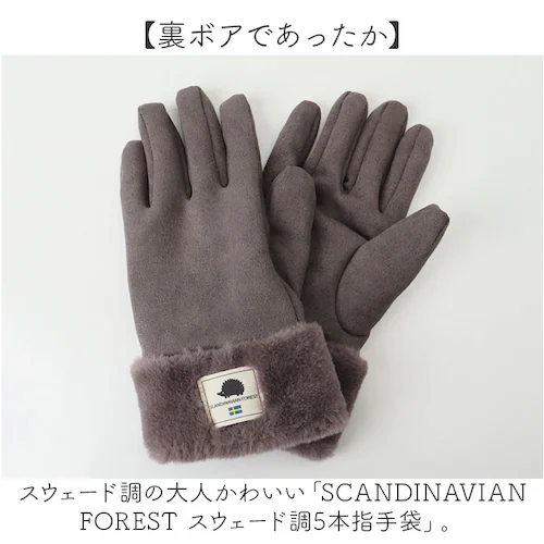 �X�J���W�i�r�A���t�H���X�g ��� 251-TTSF877 �ʔ� SCANDINAVIAN FOREST 5�{�w��� �ܖ{�w��� �O���[�u ���{�A �������� �������� ���f�B�[�X �X�G�[�h�� ������� _1