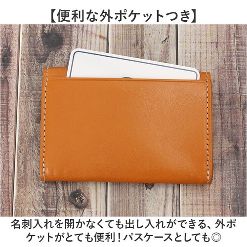 �A�[�m���h�p�[�}�[ ���h���� ArnoldPalmer 4AP3638 �ʔ� ���h�P�[�X �J�[�h���� �J�[�h�P�[�X ���h ���� �J�[�h �P�[�X �����Y ���f�B�[�X �u�����h �j�� �a�m ���� �Љ�l _5